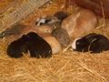 DSCN3358.JPG