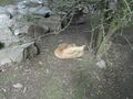 DSCN3327.JPG
