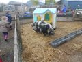 DSCN3333.JPG