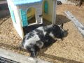 DSCN3318.JPG