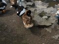 DSCN3325.JPG