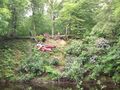 DSCF0642.JPG