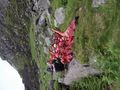 DSCF0581.JPG