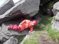 DSCF0563.JPG