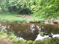 DSCF0615.JPG