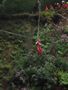 DSCF0630.JPG