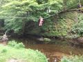 DSCF0633.JPG