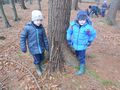 DSCN0260.jpg