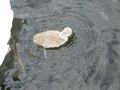 IMG_2744.jpg
