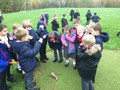 IMG_0228.JPG