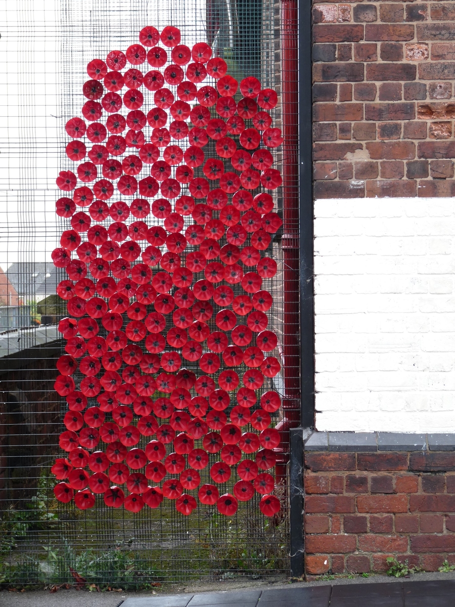The poppies on display The poppies on display