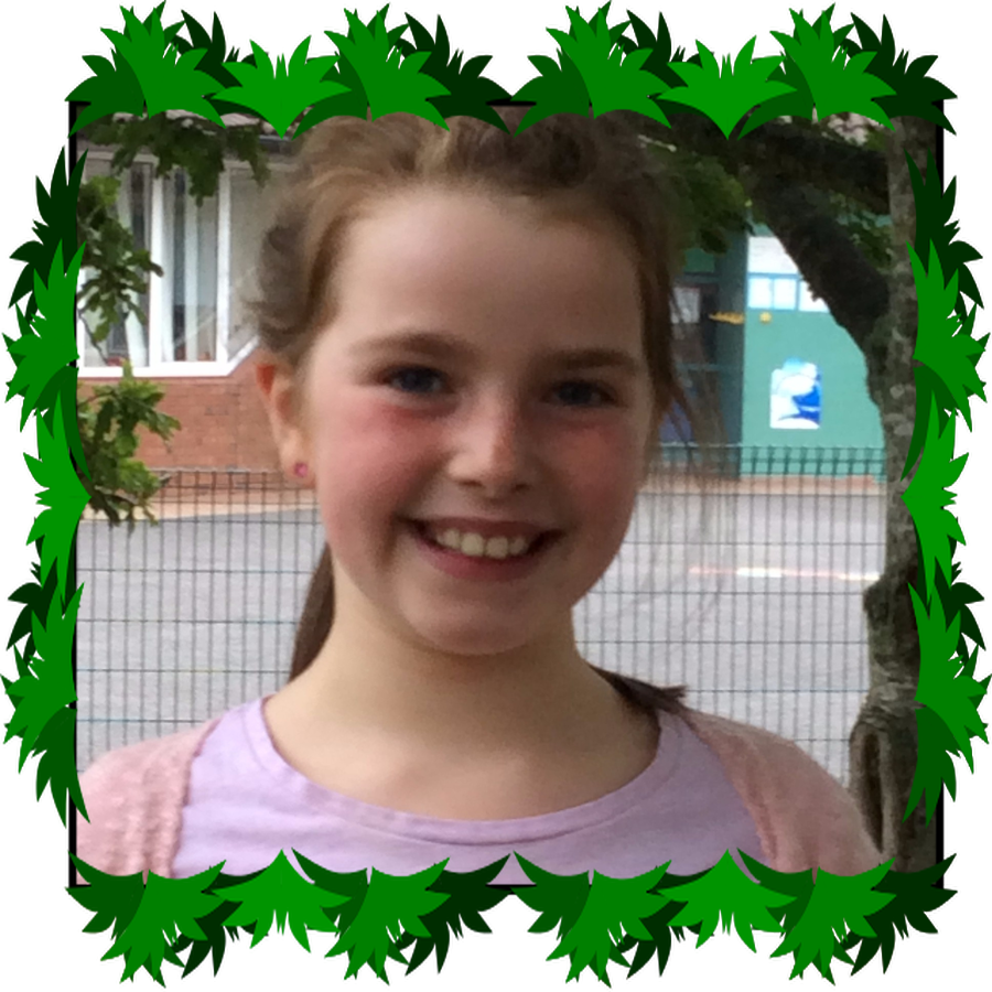 Grace P5  ECO Warrior