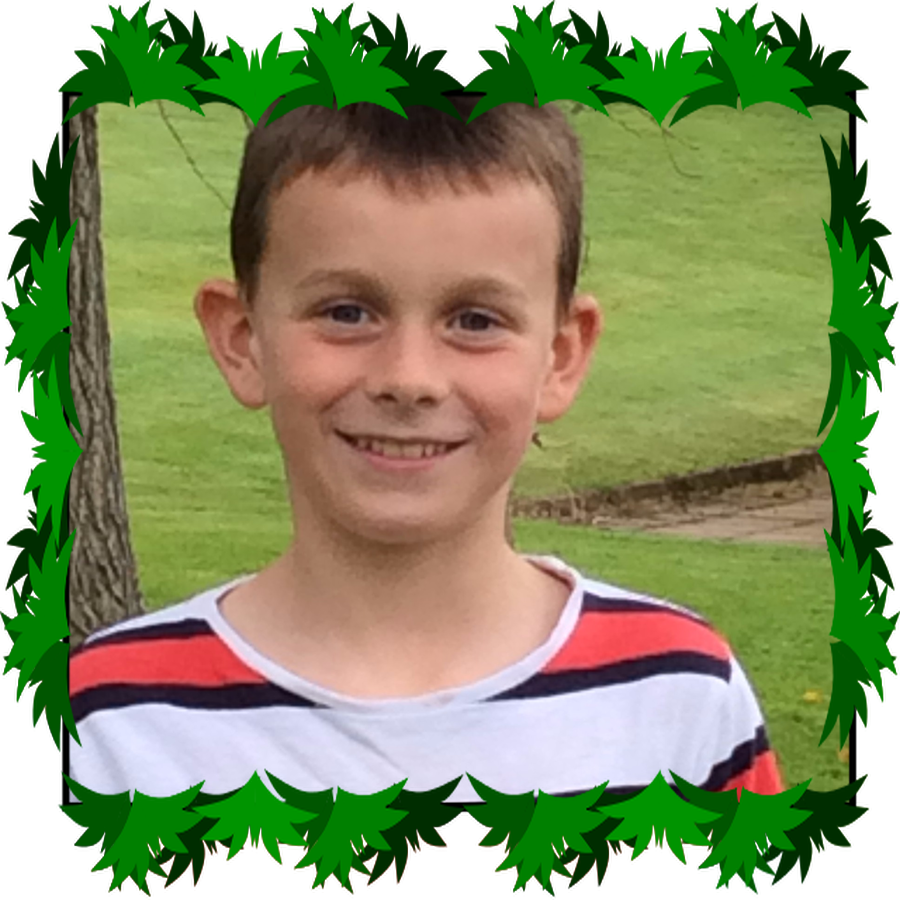 Andrew P6 ECO Warrior