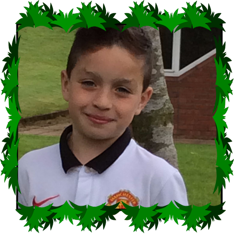 Baillie P6 ECO Warrior