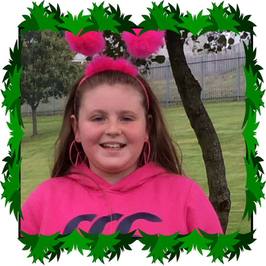 Ashton P7 ECO Warrior/ICT