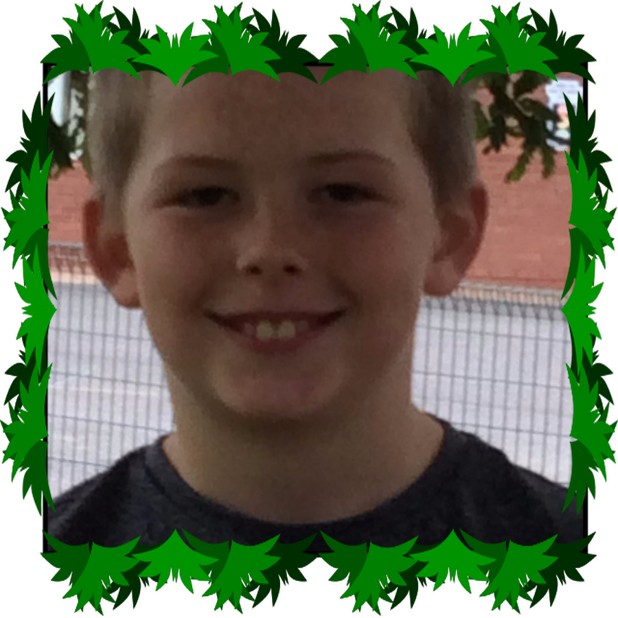 Lewis P7 ECO Warrior