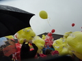 P1060431.JPG