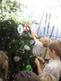 christmas tree decorations (31).JPG
