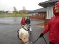 DSCN0706.jpg