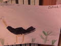 IMG01342-20130521-1328.jpg