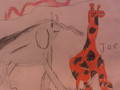 IMG01341-20130521-1327.jpg