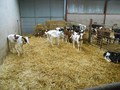 DSCN3229.JPG