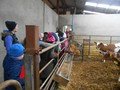 DSCN3231.JPG