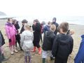 Robin_Hoods_Bay_2011_046.jpg