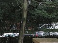 IMG_5327.JPG