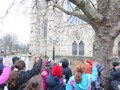 IMG_5340.JPG