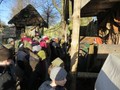 IMG_5428.JPG