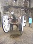 DSCF5582.JPG
