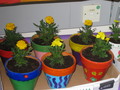 Handpainted pots, decorated by ECO Warriors.jpg