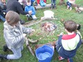 IMG_3015.JPG