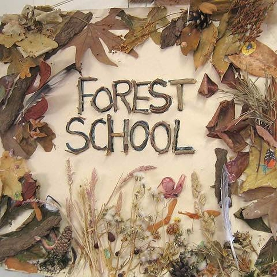 Image result for forest school
