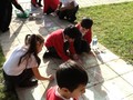 IMG_1237.JPG