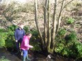 DSCF7152.JPG