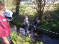 DSCF7155.JPG