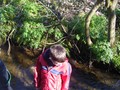 DSCF7159.JPG