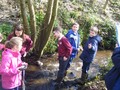 DSCF7169.JPG