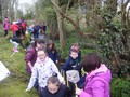 DSCF7174.JPG