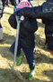 SAMPLED_3687034_740_600___.png