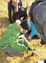 SAMPLED_3687043_740_600___.png