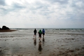 DSC_1104.JPG