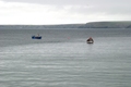 DSC_1355.JPG