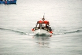 DSC_1356.JPG