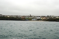DSC_1385.JPG