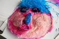 C_DSC_0002.jpg
