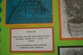 Observational_drawing_008.jpg