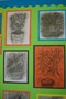 Observational_drawing_009.jpg